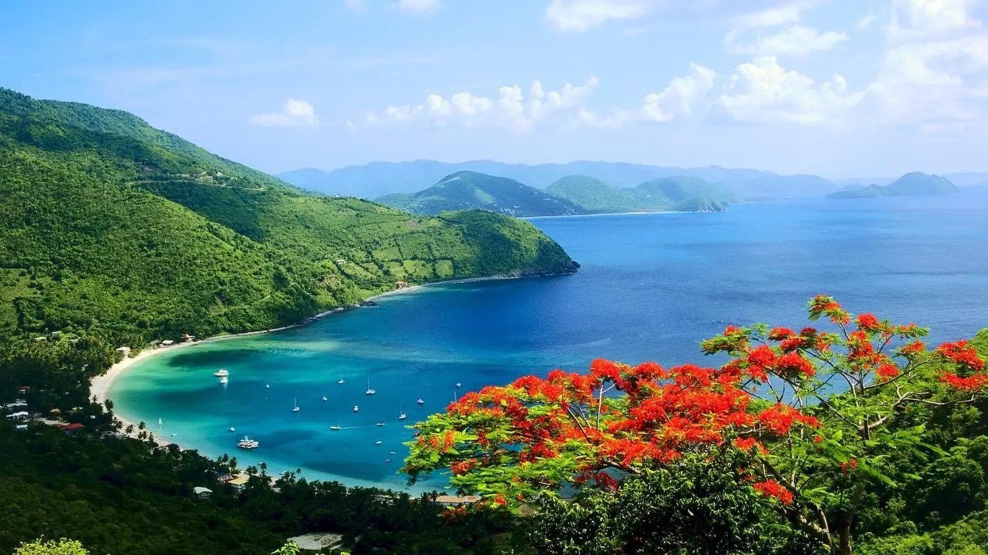 高性能先进